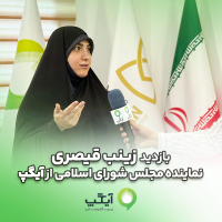 زینب قیصری، نماینده مجلس : مجلس و دولت باید حامی پیام‌رسان های داخلی باشند